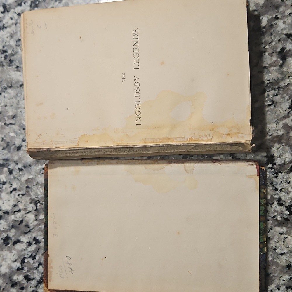 1875 The Ingoldsby Legends Or Mirth and Marvels by Thomas Ingoldsby Antique Book - Picture 3 of 15